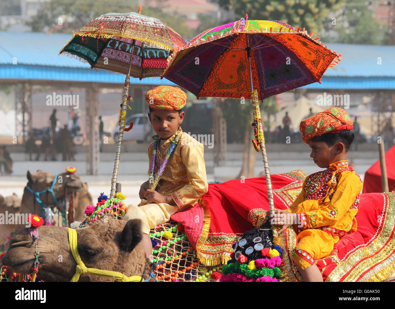 Concours pour décorer des chameaux à Pushkar camel fair Banque D'Images