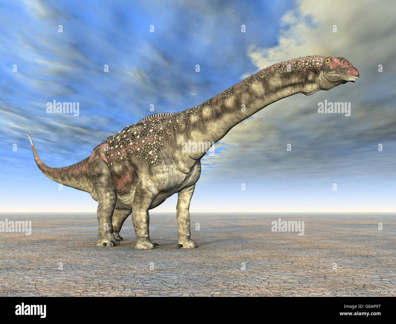 Diamantinasaurus dinosaure Banque D'Images