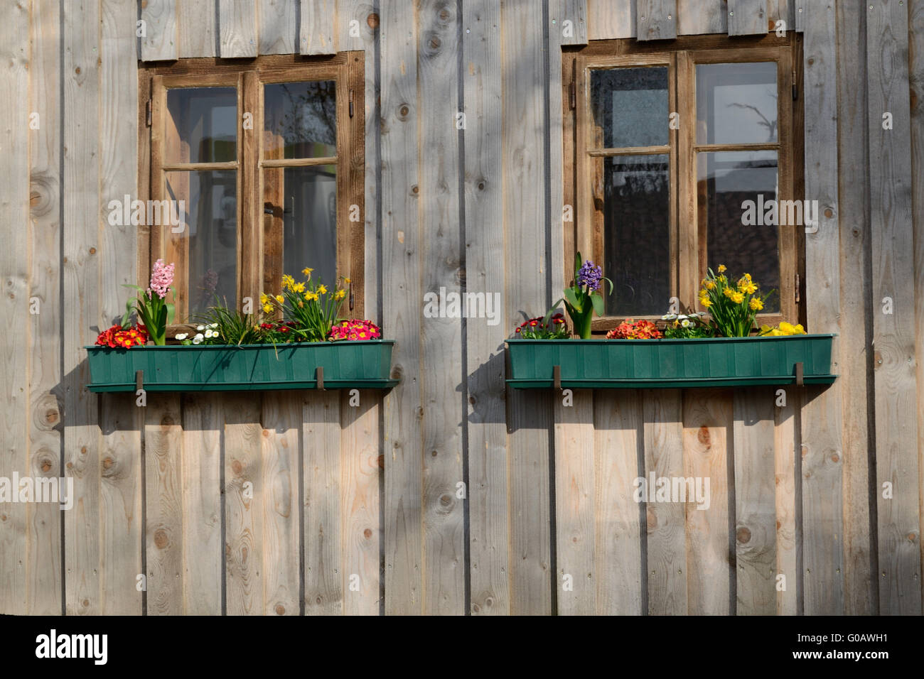Fenêtre en bois dans la région de mur en bois et décoration florale Banque D'Images