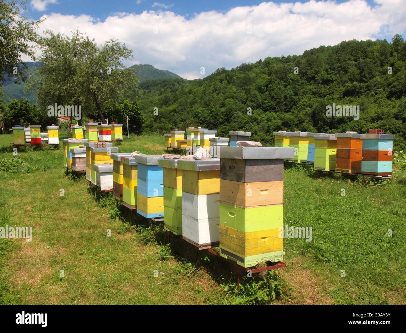 Près de ruches au monastère Moraca au Monténégro Banque D'Images