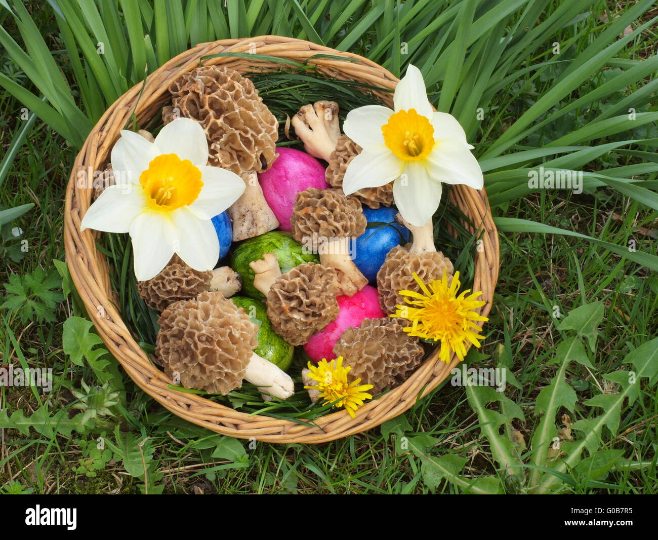 Panier de Pâques avec des oeufs, morilles et narcisse Banque D'Images