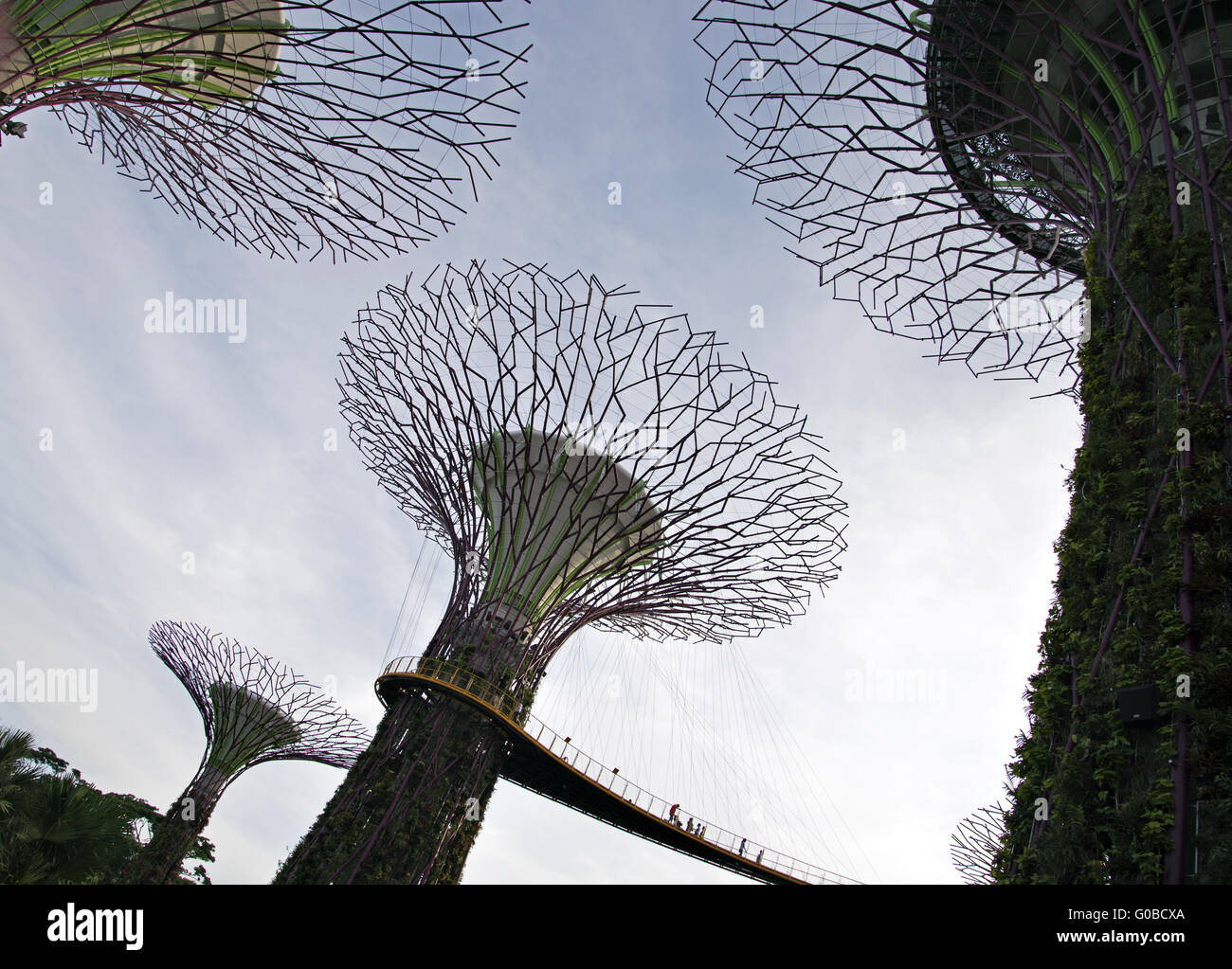 Supertress dans les jardins, près de la baie, à Singapour Banque D'Images