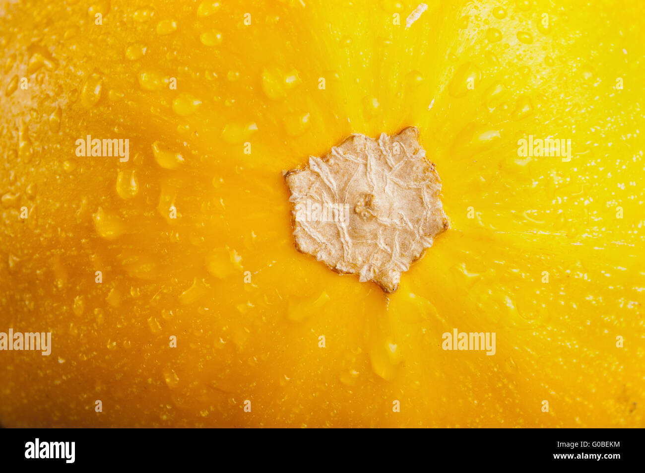 La texture de la courge jaune Banque D'Images