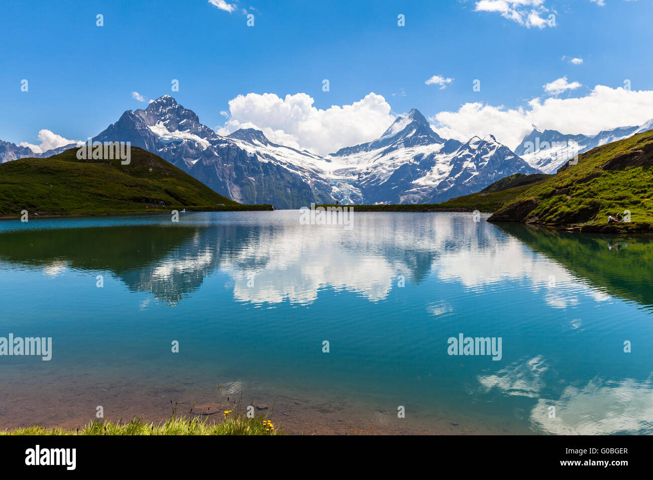 Vue panoramique de Bachalp et la neige pics couverte y compris Schreckhorn, Wetterhorn avec glacier des Alpes suisses, sur les iles O Banque D'Images