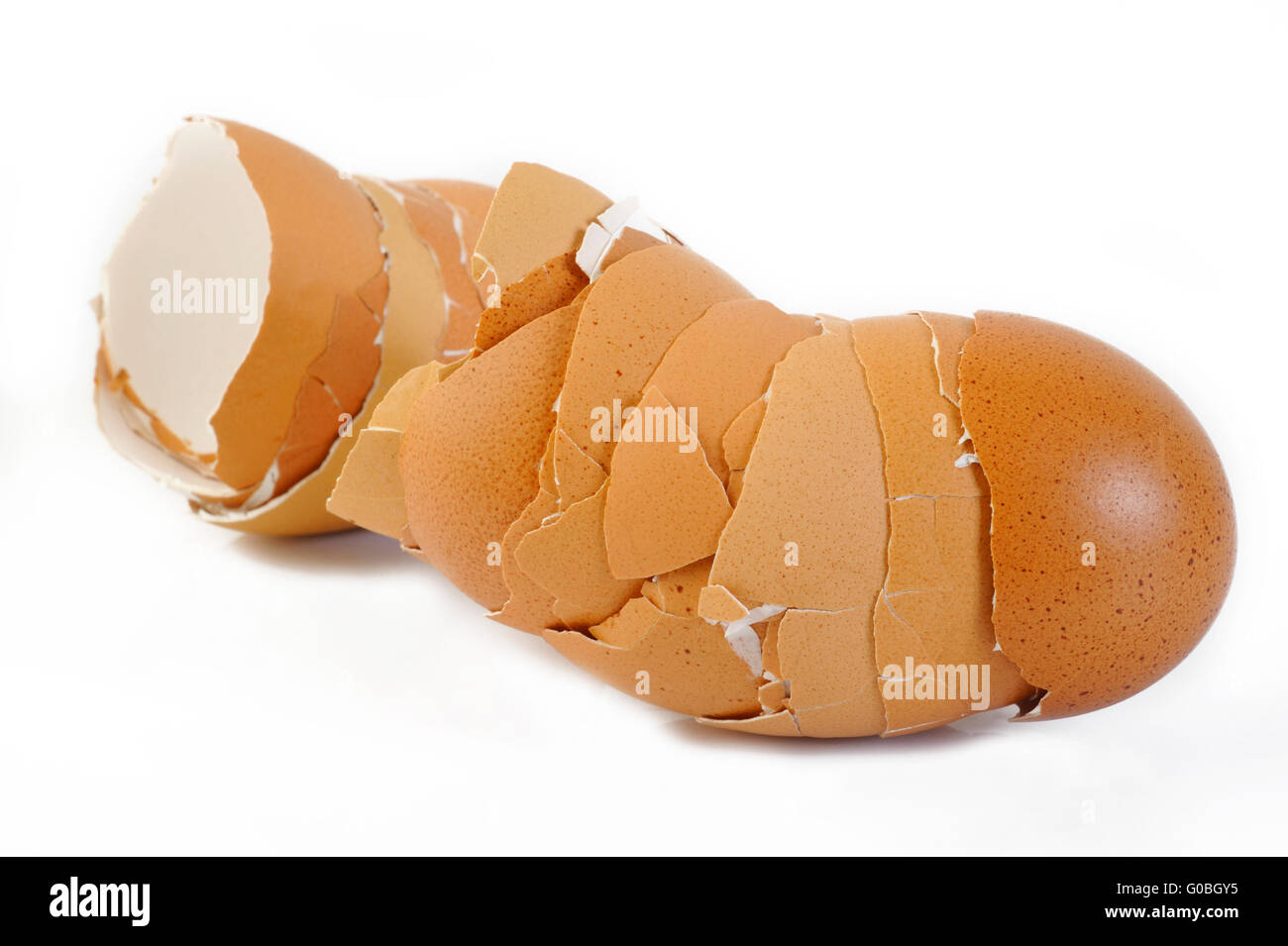 coquille d’oeuf Banque D'Images