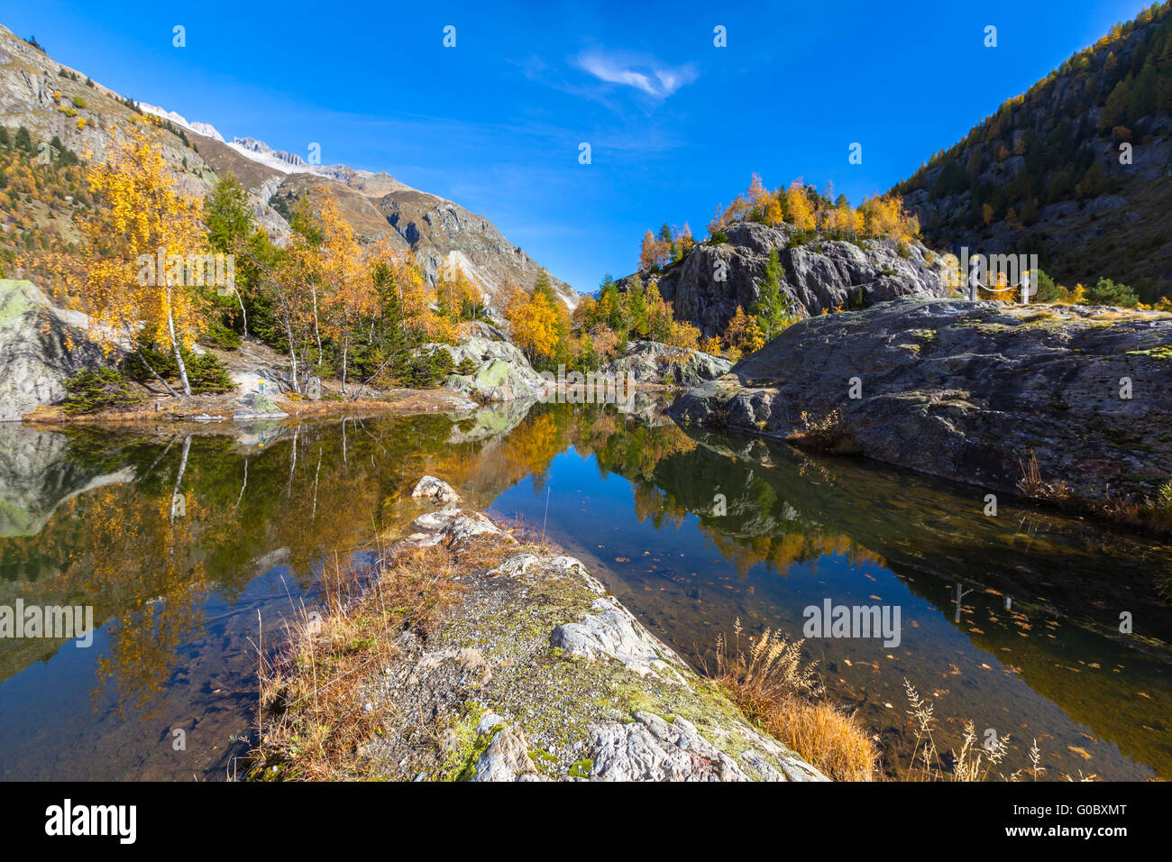 Belle vue sur le lac vert avec reflcection d'arbres colorés en automne doré, région d'Aletsch glacier des Alpes suisses, Canto Banque D'Images