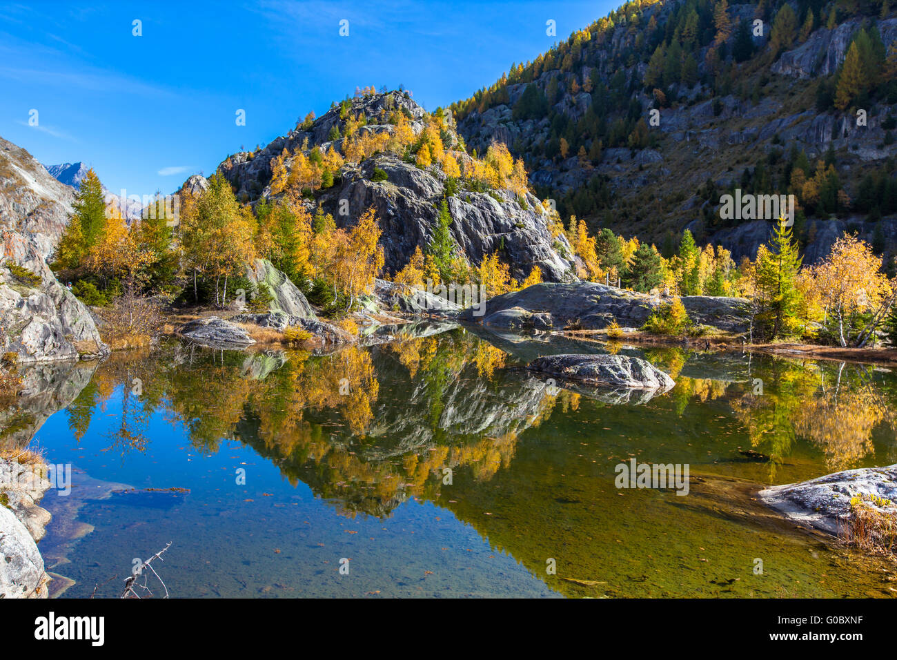 Belle vue sur le lac vert avec reflcection d'arbres colorés en automne doré, région d'Aletsch glacier des Alpes suisses, Canto Banque D'Images