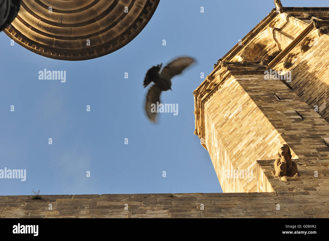 Fragment de l'église cathédrale de Barcelone médiévale avec flying pigeon Banque D'Images