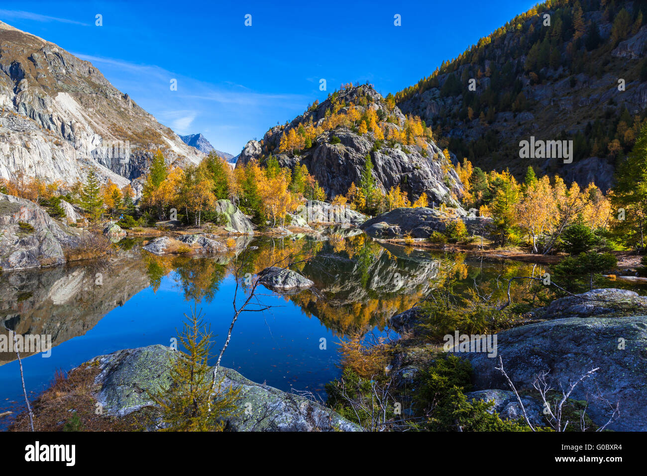 Belle vue sur le lac vert avec reflcection d'arbres colorés en automne doré, région d'Aletsch glacier des Alpes suisses, Canto Banque D'Images