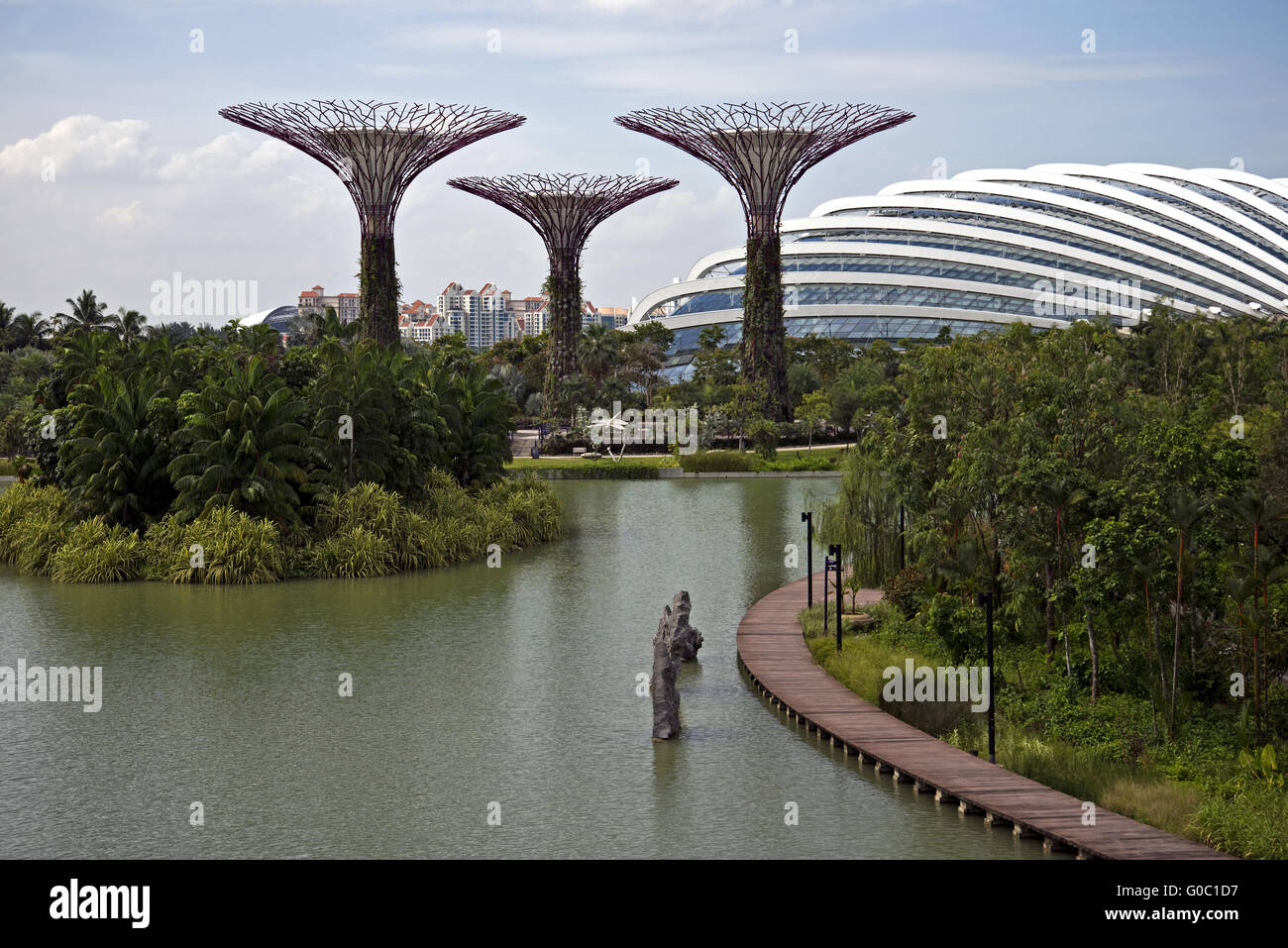 Gardens by the Bay, Singapour Banque D'Images