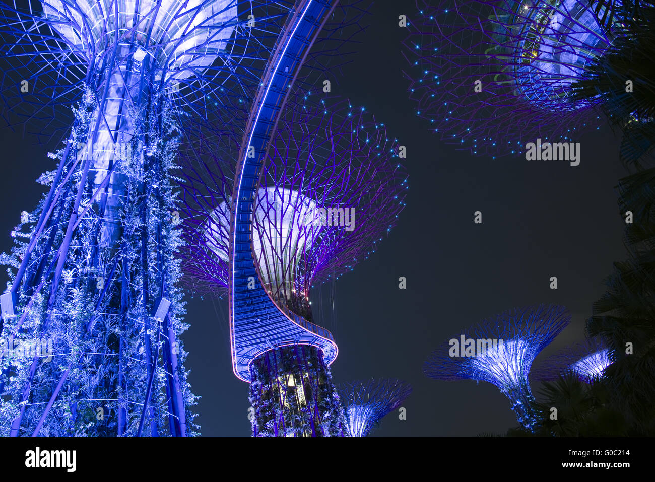 Supertrees, jardins de la baie, à Singapour Banque D'Images