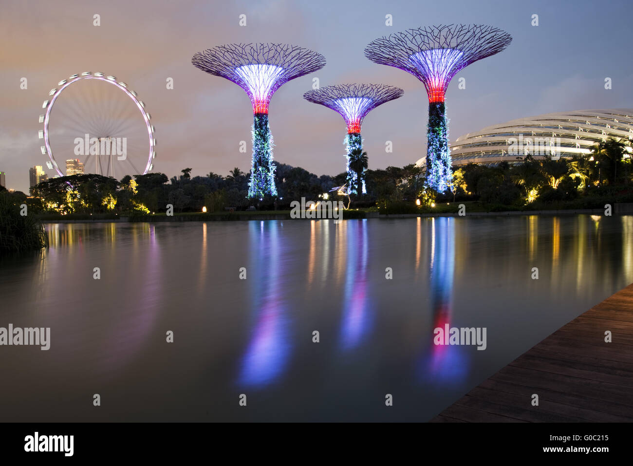 Gardens by the Bay & Singapore Flyer Banque D'Images