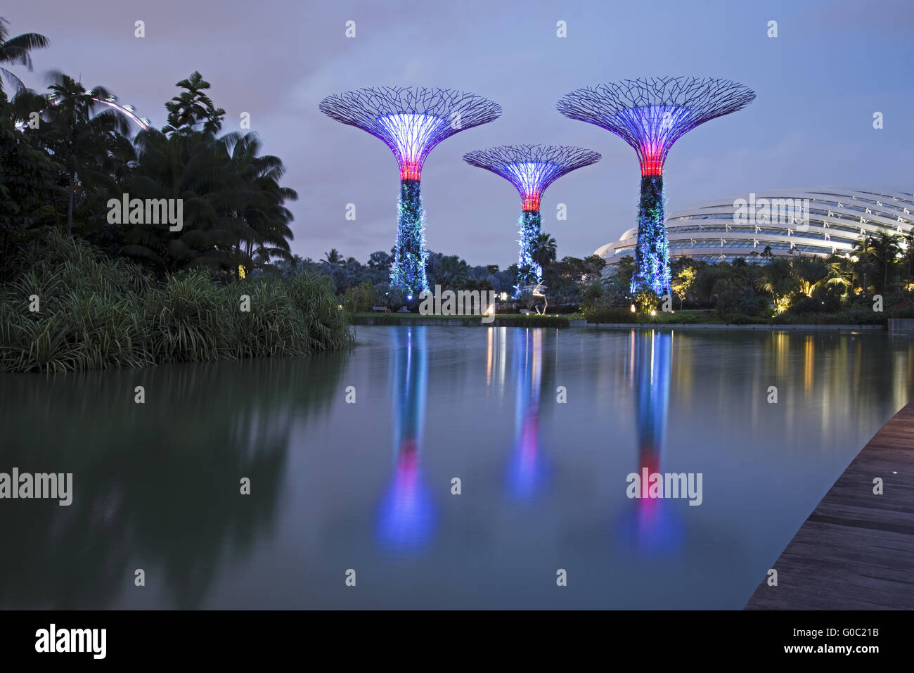 Gardens by the Bay, Singapour Banque D'Images