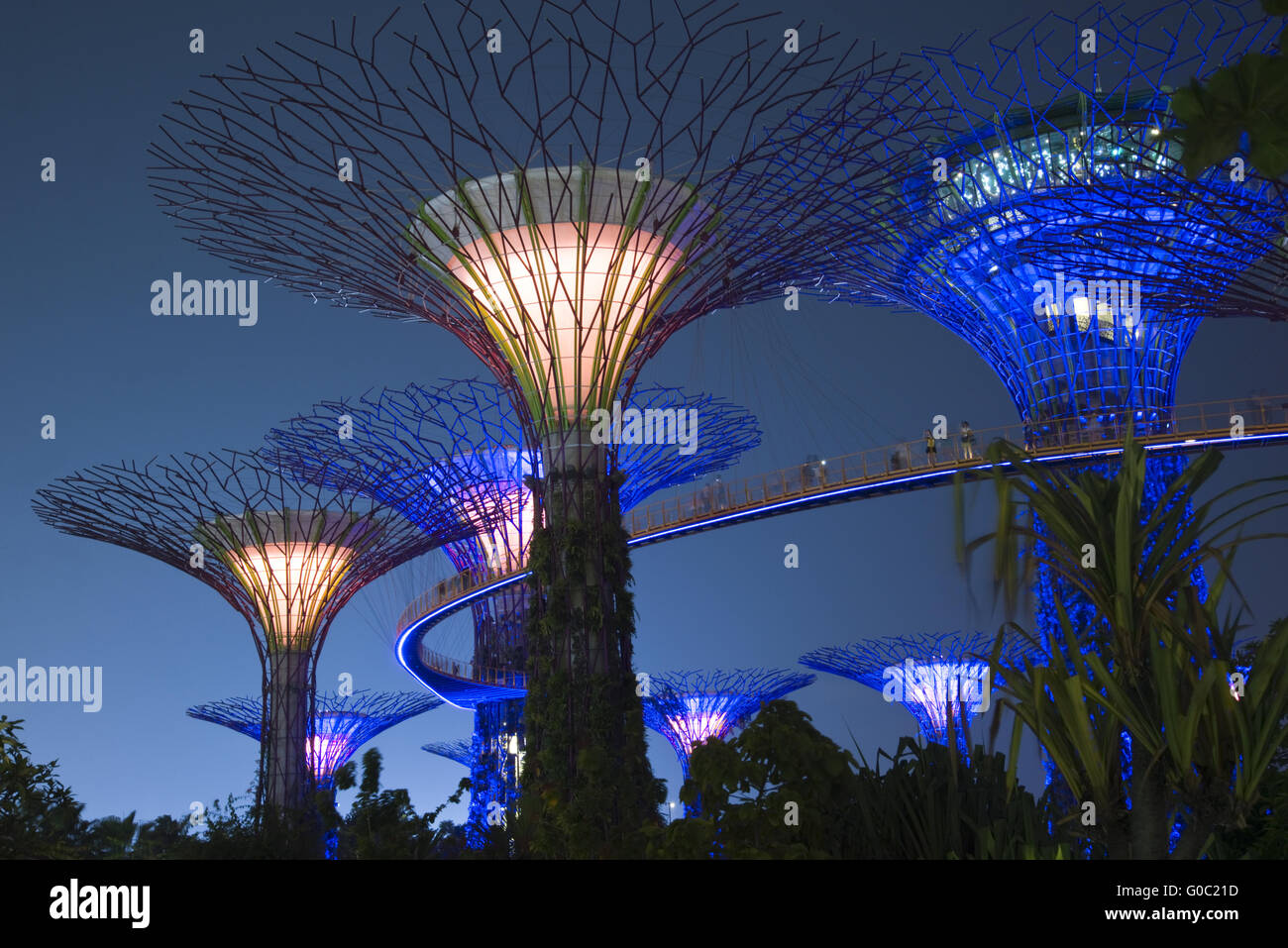 Supertrees, jardins de la baie, à Singapour Banque D'Images