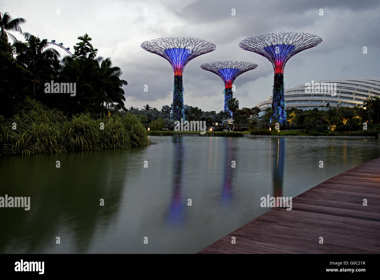Gardens by the Bay, Singapour Banque D'Images