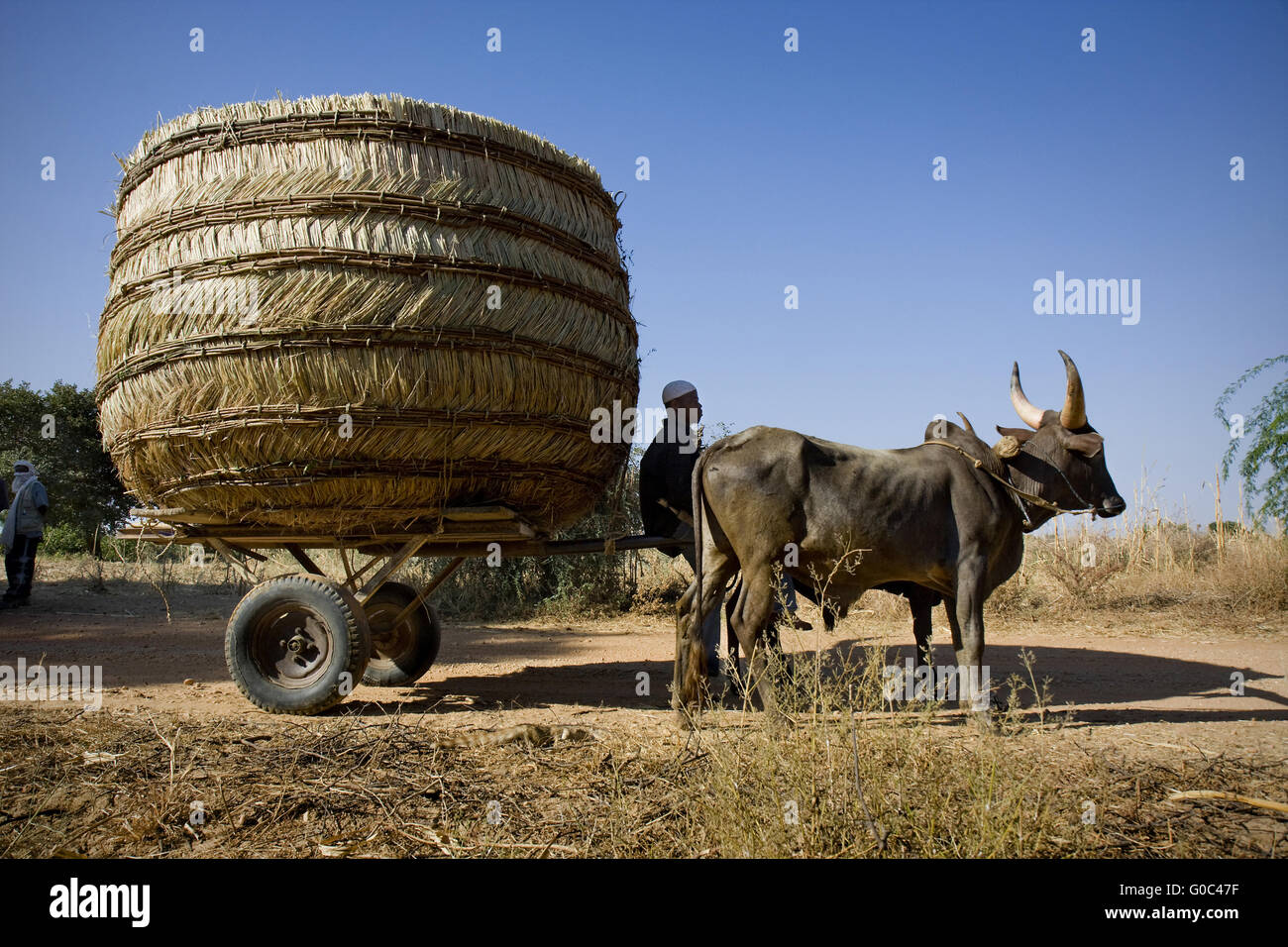 Panier transport grange. Djirataoua. Niger Banque D'Images