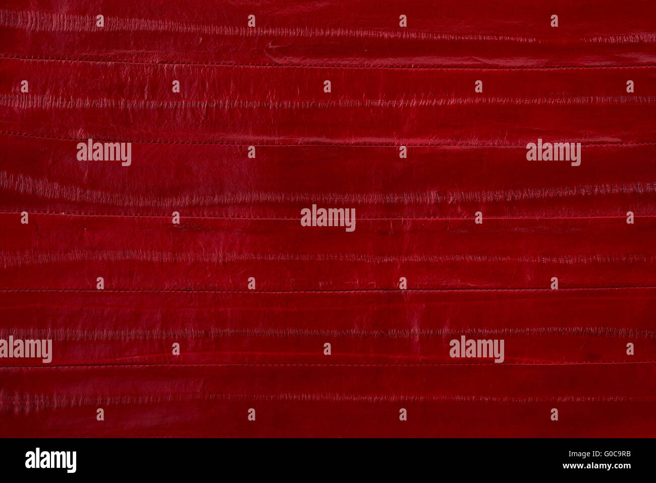 Dans la peau de serpent de couleur rouge Banque D'Images