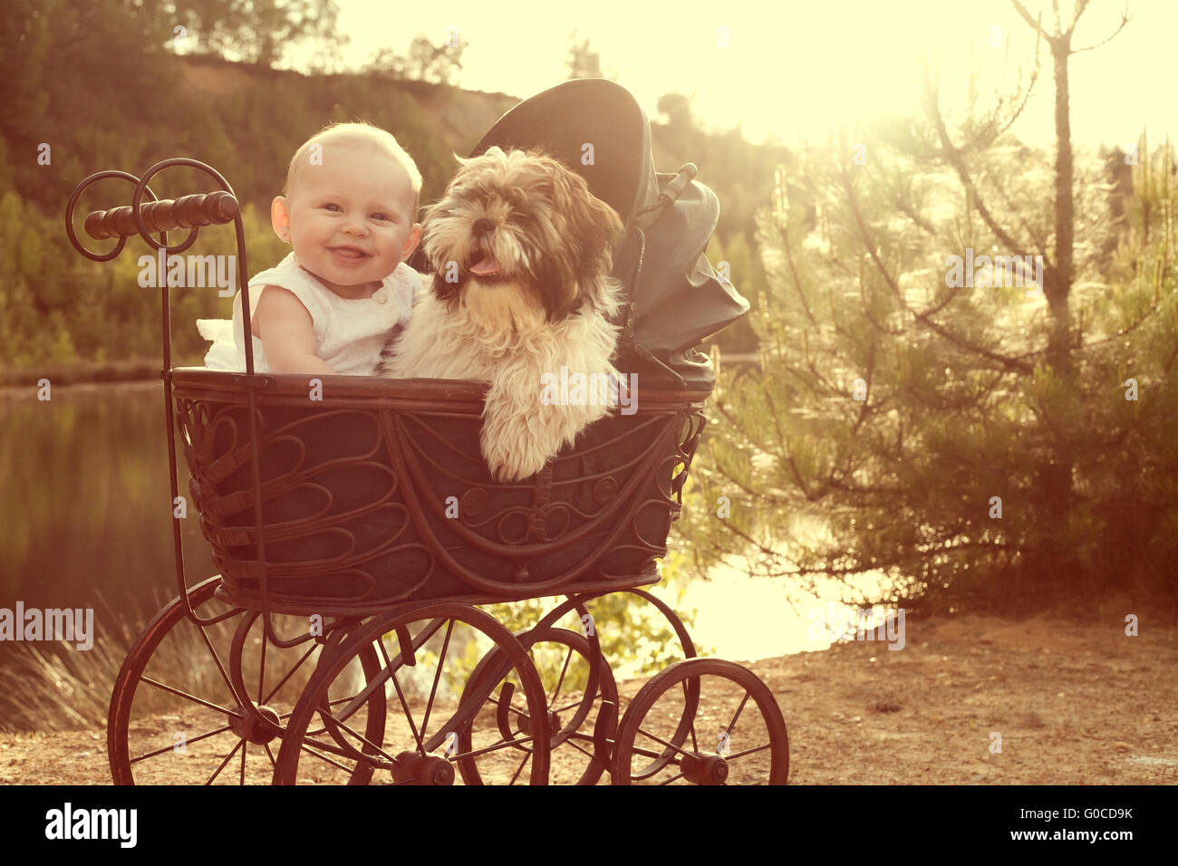 Baby Girl and puppy sont assis dans un pram vintage Banque D'Images