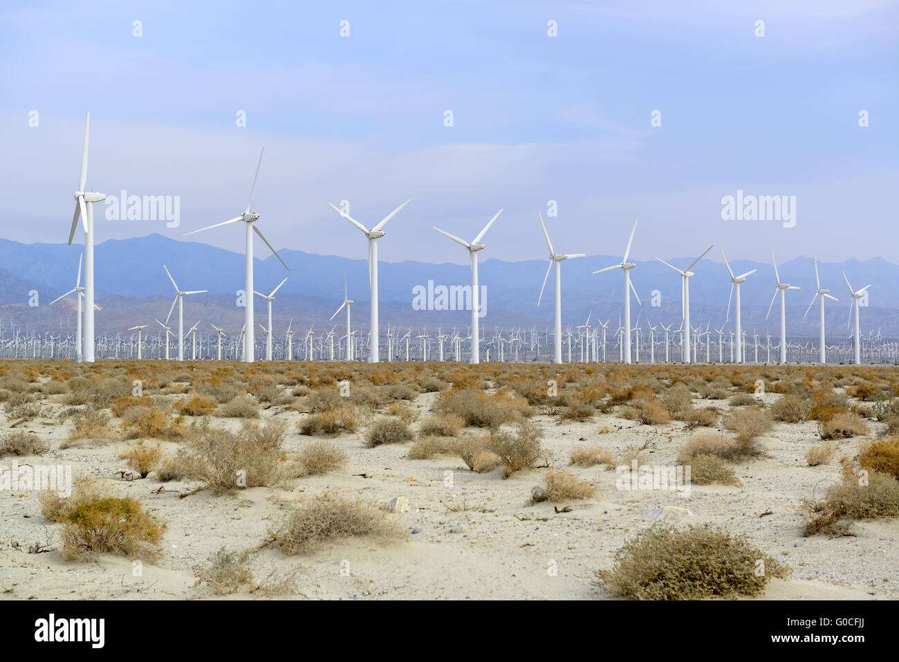 Ferme éolienne près de Palm Springs Banque D'Images