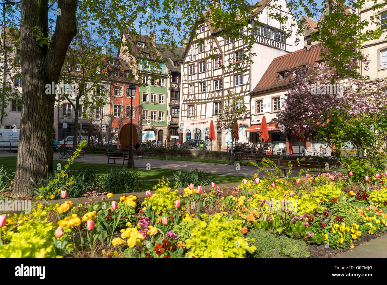 Fleurs de printemps sur la Place des tripiers dans la vieille ville de Strasbourg, Alsace, France Banque D'Images