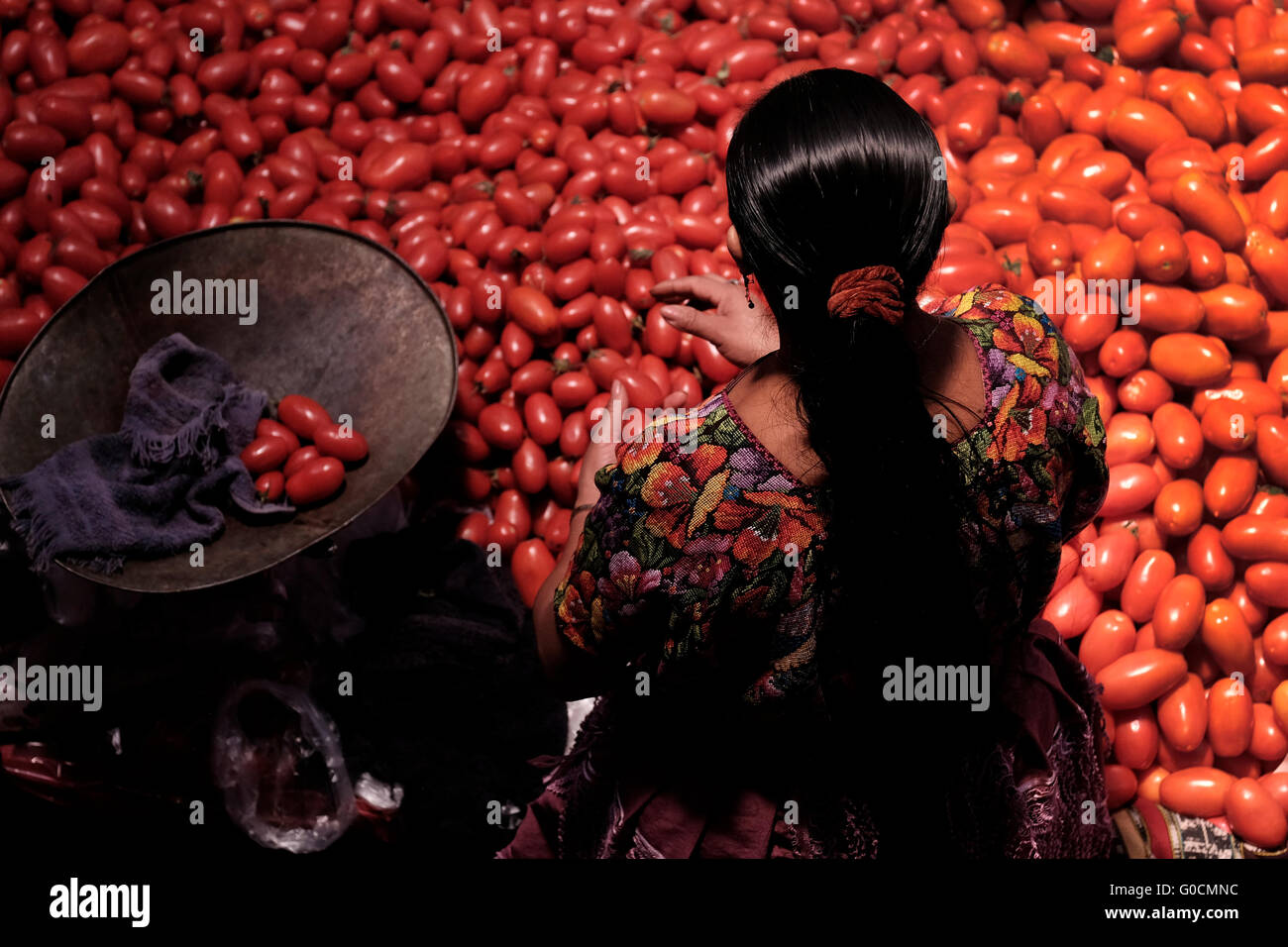 Un vendeur de vendre des tomates au marché de Chichicastenango également connu sous le nom de Santo Tomás Chichicastenango une ville dans le département de Guatemala El Quiché, connu pour sa culture Maya Kiche traditionnels. Banque D'Images