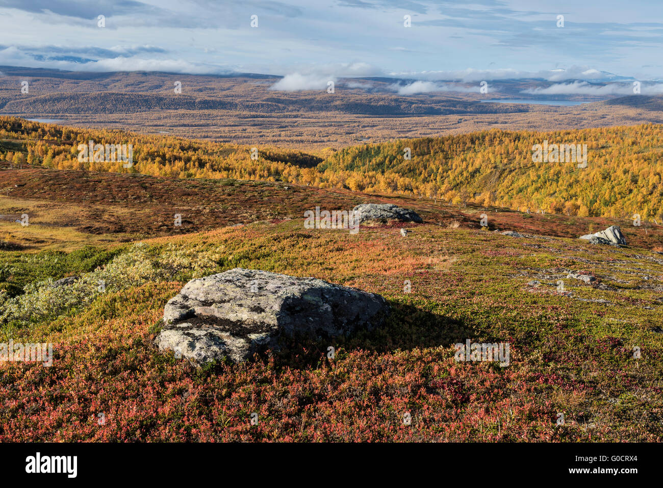 Paysage de montagne d'automne vu de Kungsleden trail près de Hemavan, Laponie, Suède Banque D'Images