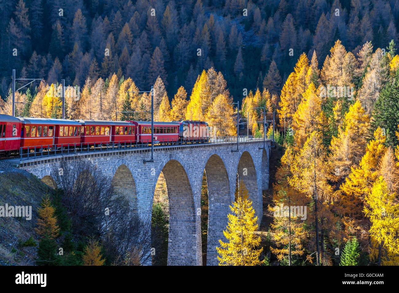 Le Bernina Express train touristique des chemins de fer rhétiques s'exécutant sur le viaduc avec vue sur les arbres colorés au soleil d'automne Banque D'Images