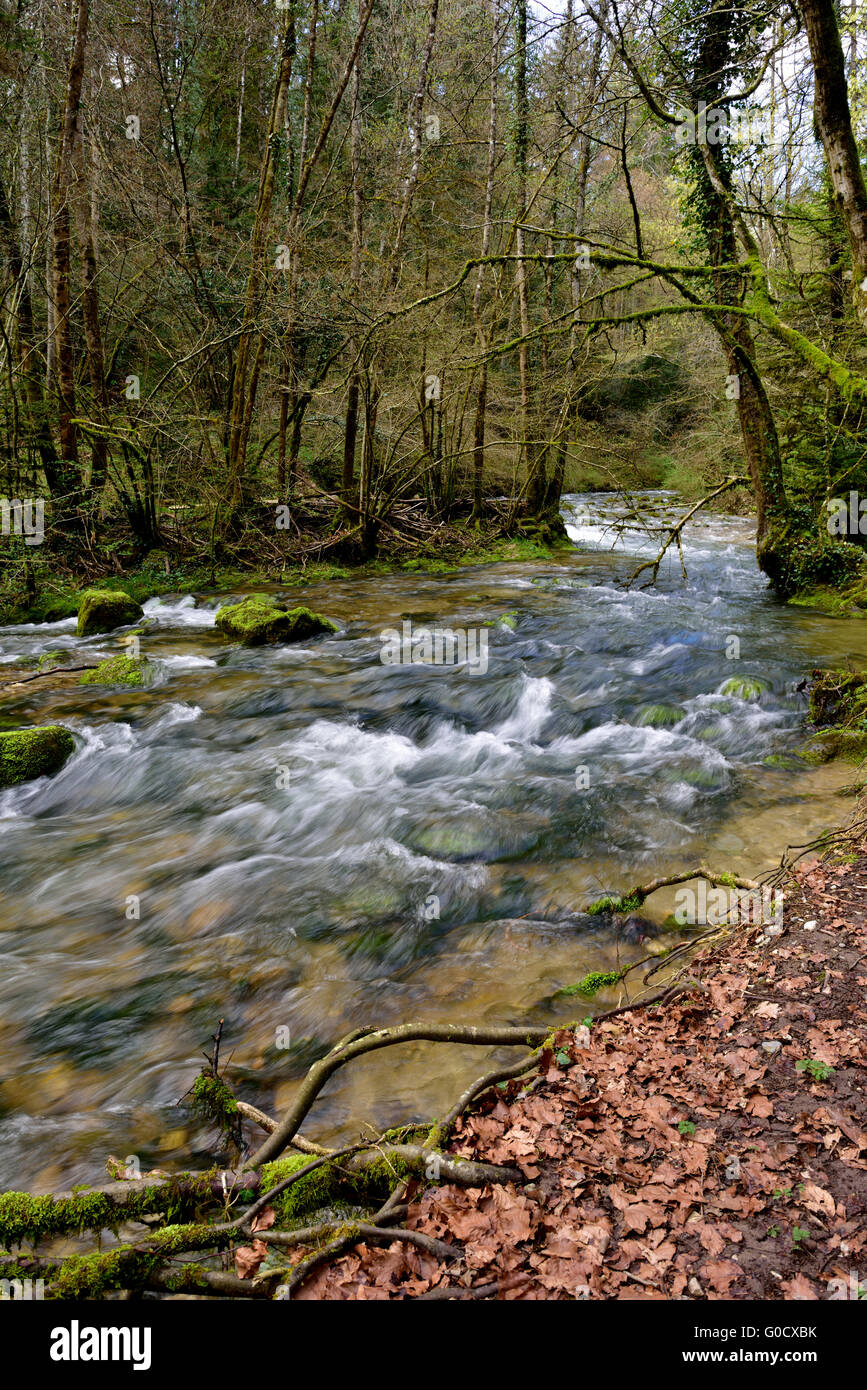 Petit ruisseau de montagne (L'Allondon) entre les arbres au début du printemps, près de Chevry, au sud est de la France Banque D'Images