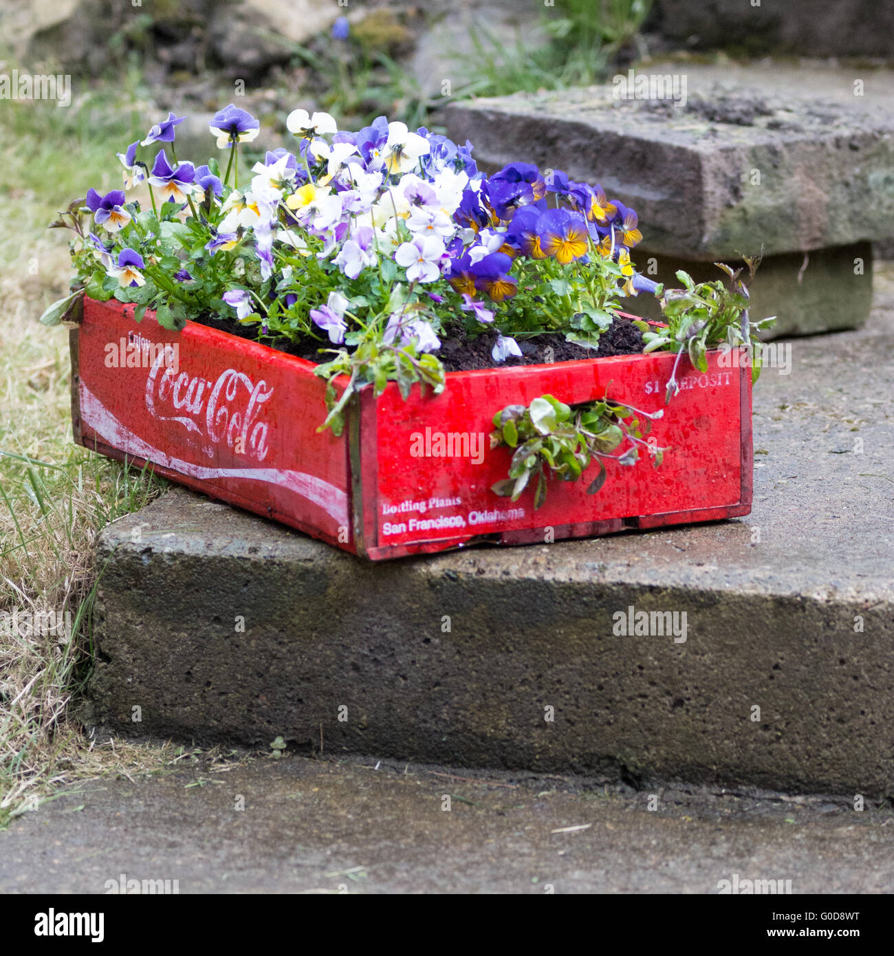Coca-cola Vintage plateau avec altos Banque D'Images