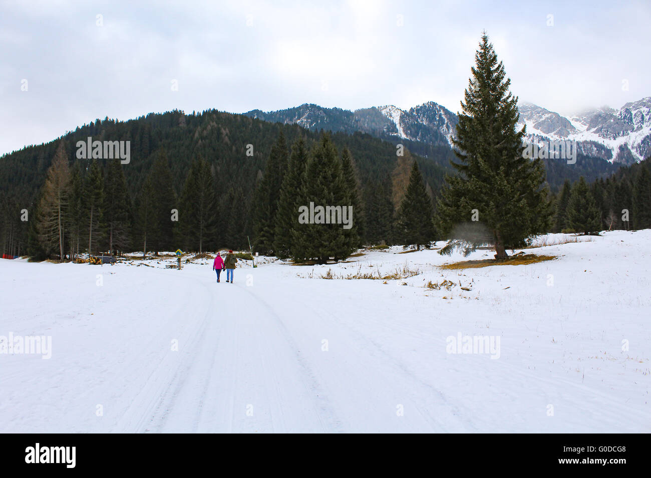 Un couple marche dans les Dolomites italiennes, leurs manteaux lumineux contraste avec le blanc de la neige. Banque D'Images