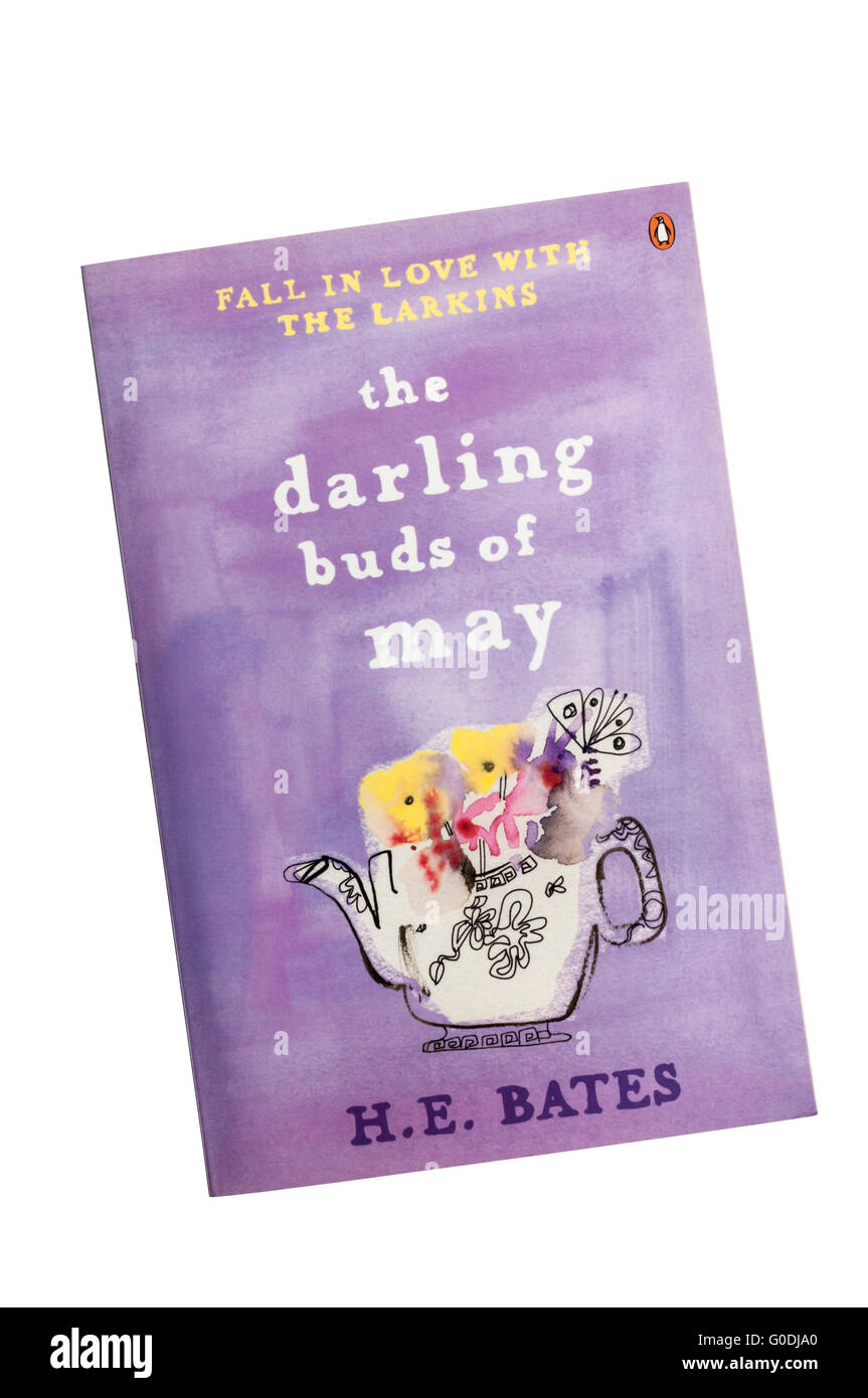 Une copie de la Darling Buds de mai par H. E. Bates, d'abord publié en 1958. Banque D'Images