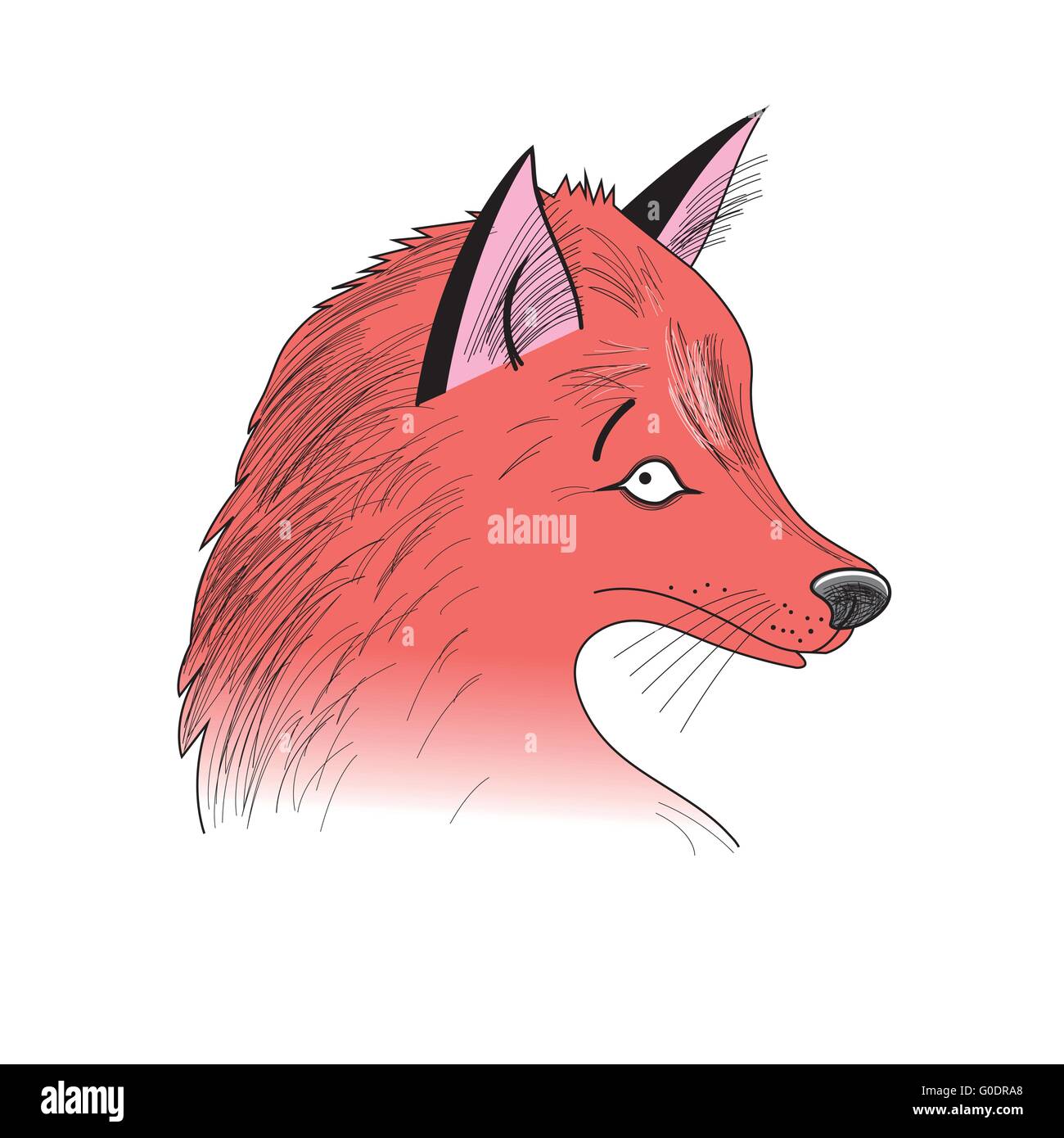Portrait de Fox Illustration de Vecteur