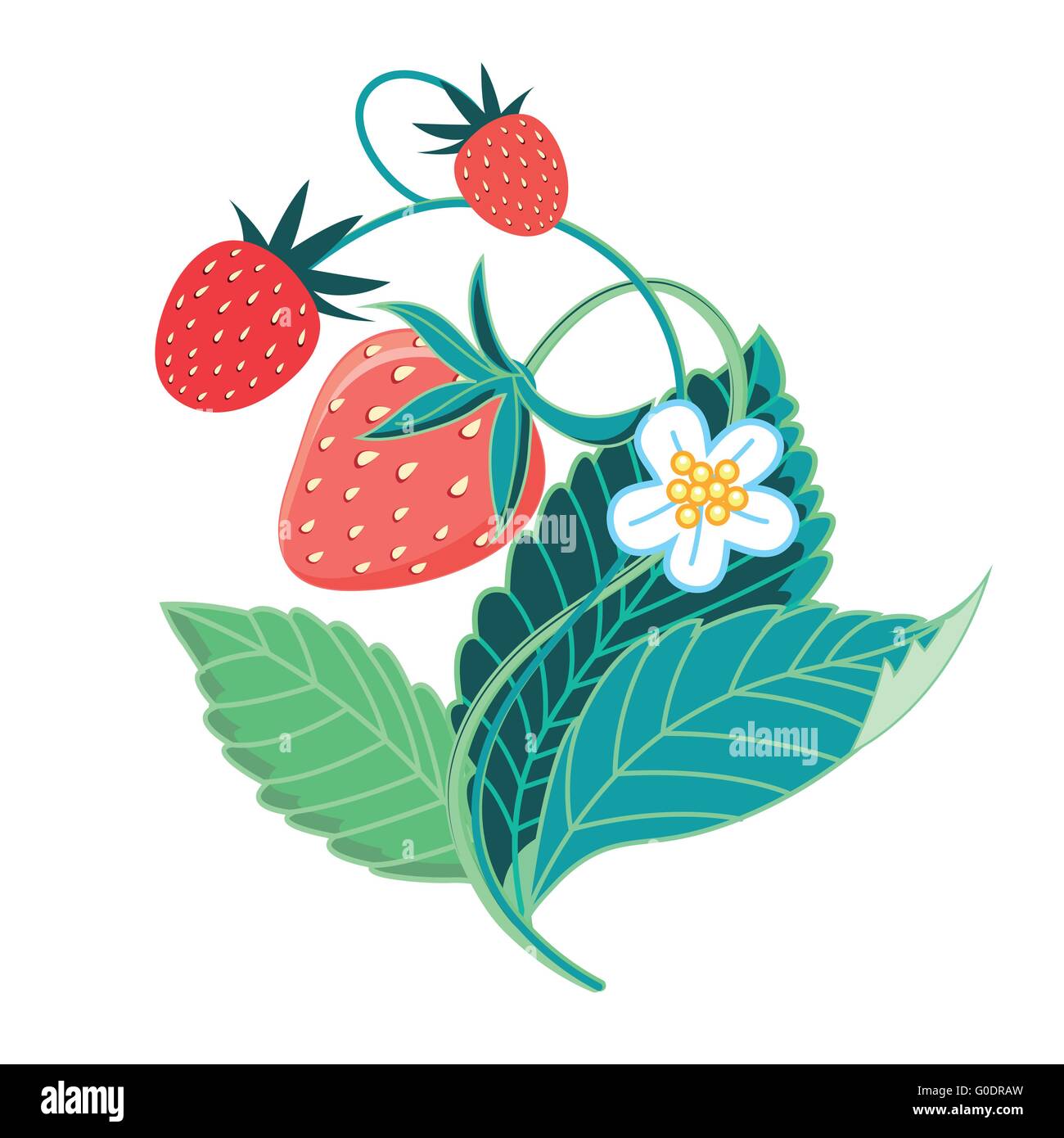 Illustration de fraises savoureuses colorés Illustration de Vecteur