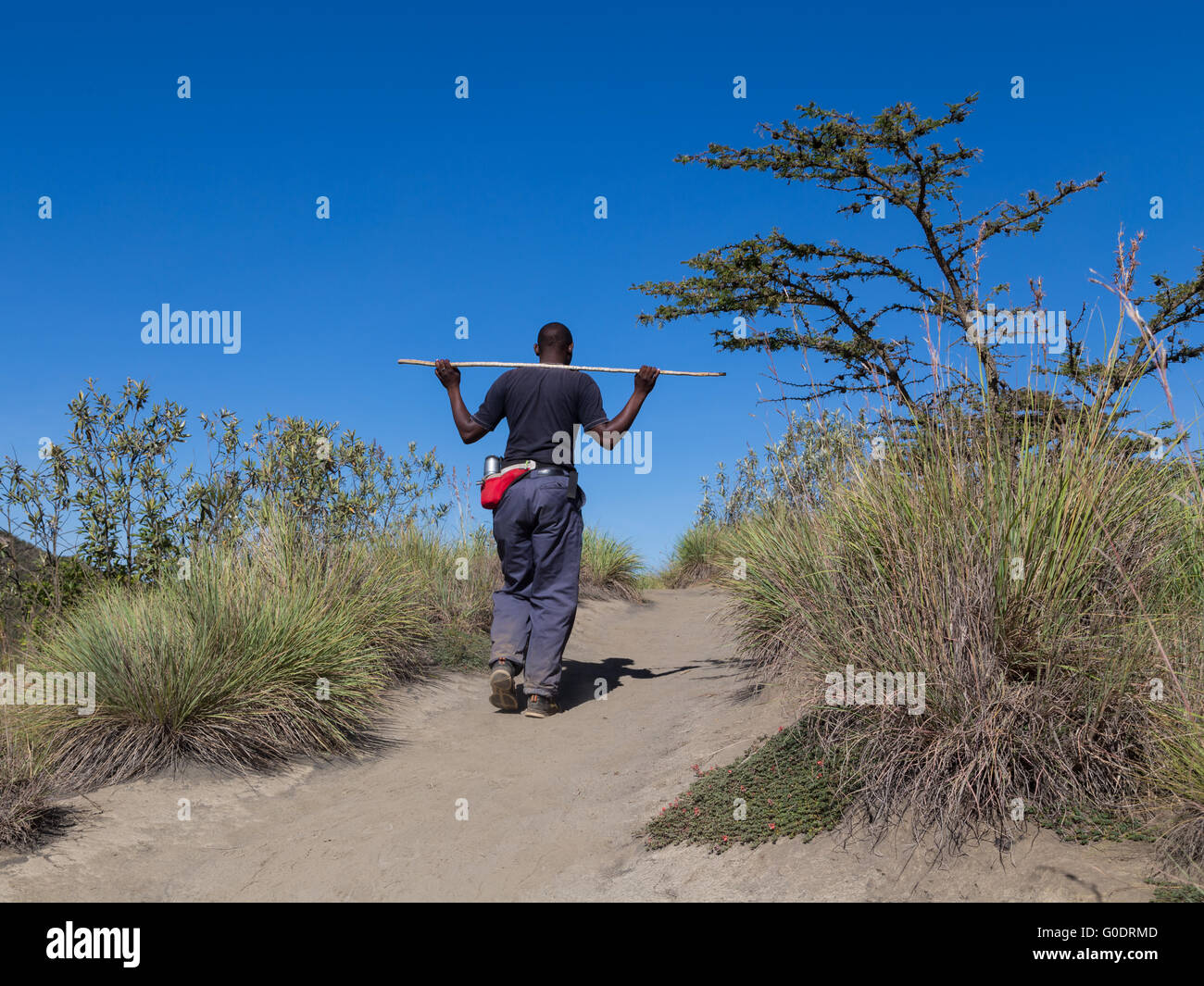 Un guide randonnée pédestre le cratère du Mont Longonot au Kenya. Banque D'Images