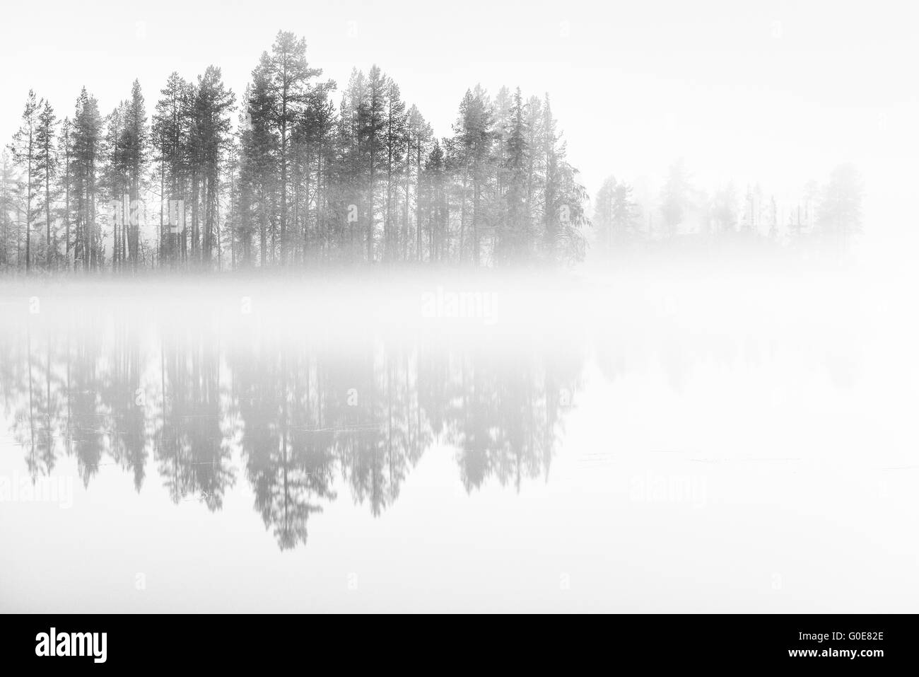 Matin brouillard sur un lac, Laponie, Suède Banque D'Images