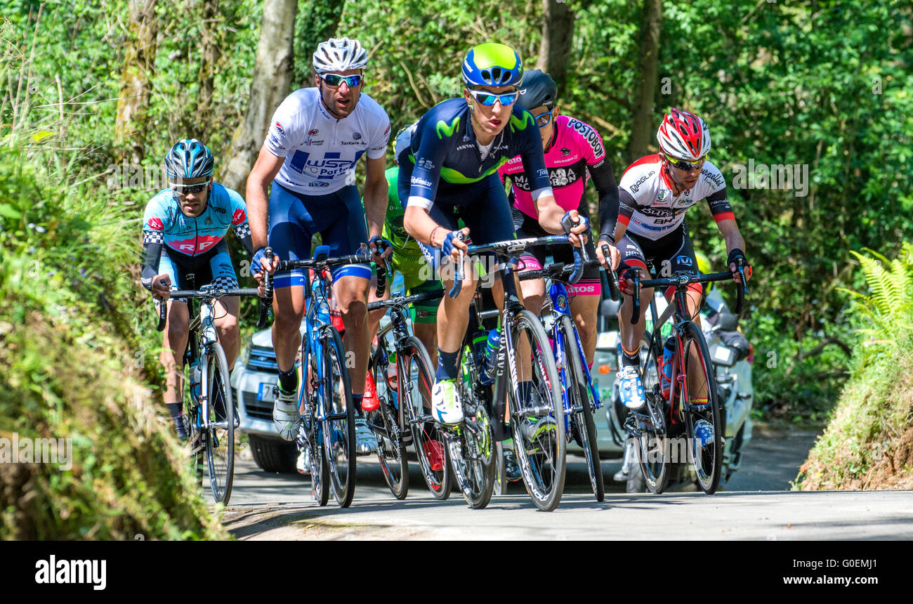 Morcin, Espagne. 1er mai 2016. Marc Soler (Movistar Team), Raul Alarcon (W52-FC Porto), Sergio Higuita (Équipe Manzana Postobon) et Pablo Torres (BH) ride à la colla grimper avec rampes de 20  % au cours de la deuxième phase de 'Vuelta Ciclista a Asturies' (Cycling Tour des Asturies) le 1 mai 2016, en Espagne, Morcin. Crédit : David Gato/Alamy Live News Banque D'Images