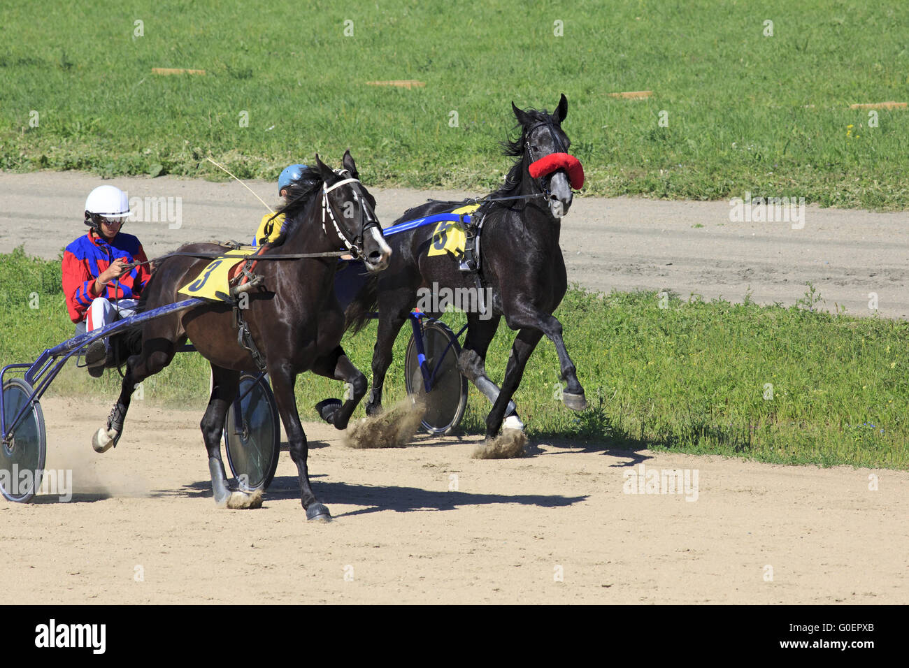 Courses hippiques à l'Hippodrome Sibirskoe podvorie Banque D'Images
