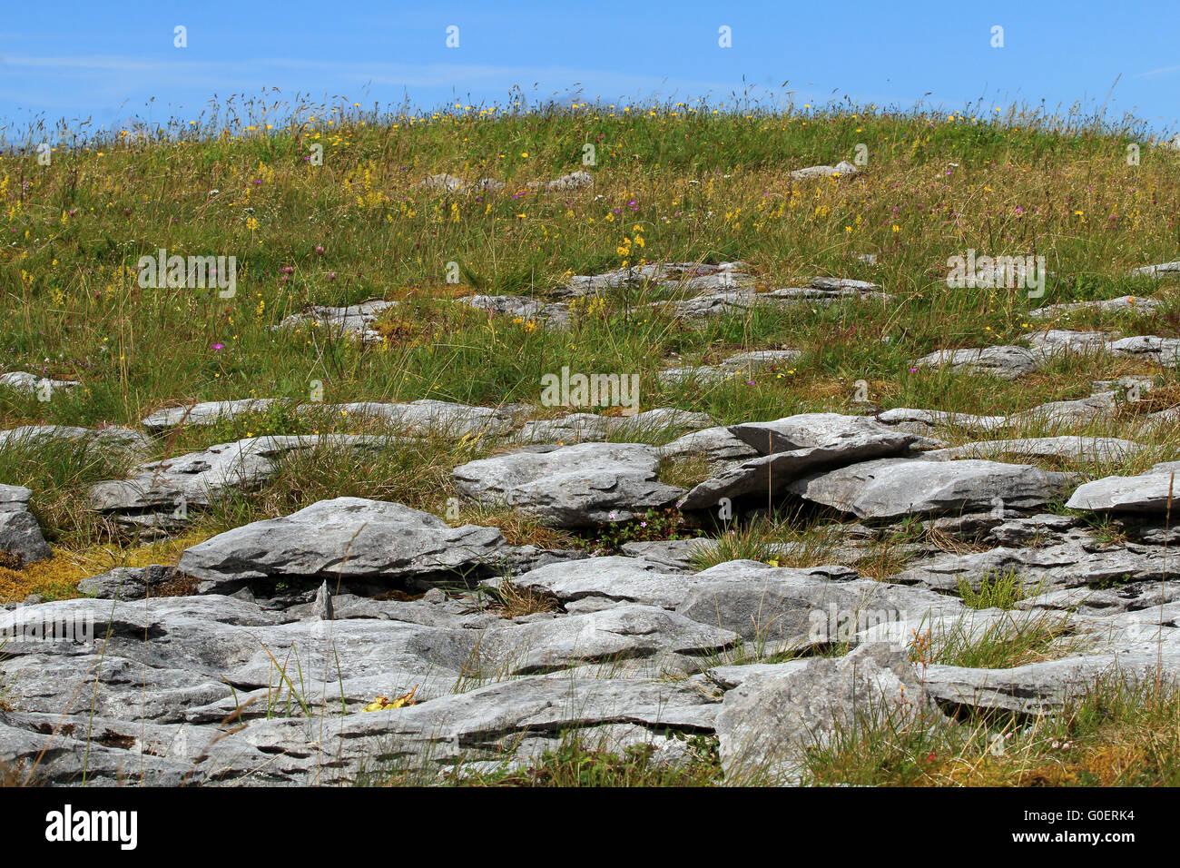 Paysage de Burren avec prairies négligées, Irlande Banque D'Images
