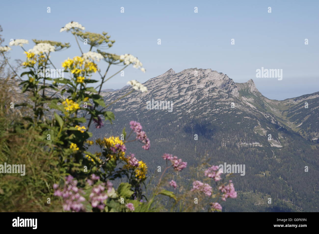 Vue de l'Söllersck aux montagnes de Kleinwalsertal Banque D'Images