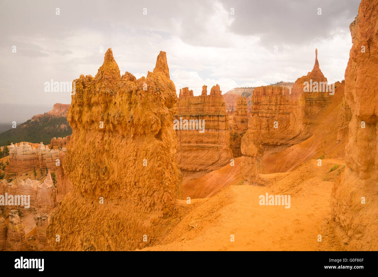 Sculptures en grès après la pluie à Bryce Canyo Banque D'Images