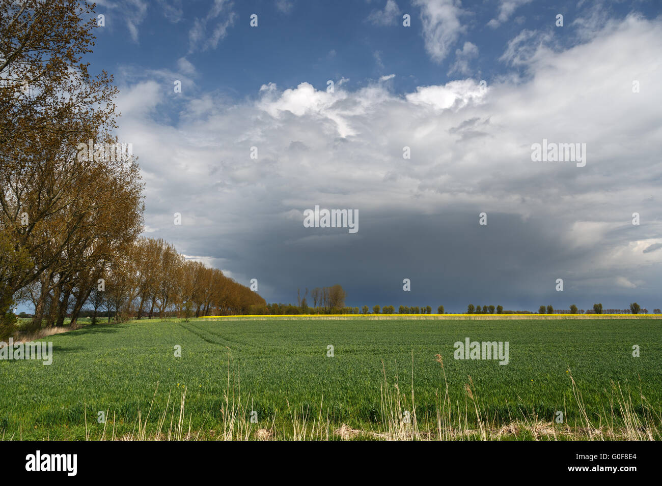 L'approche de nuages de pluie Banque D'Images