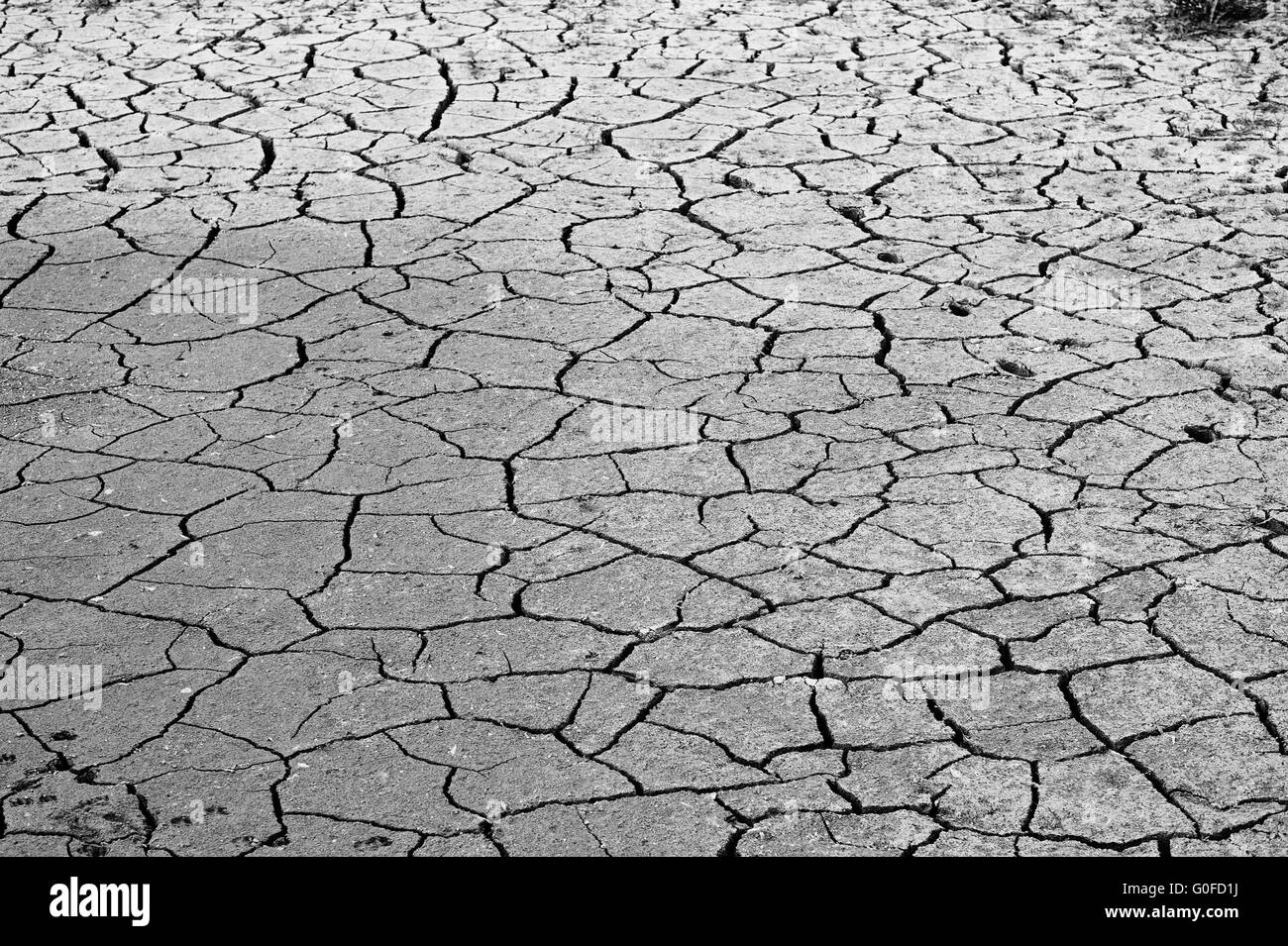 La salinité du sol, sol fissuré, désastre écologique Banque D'Images