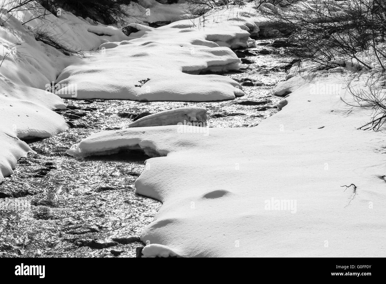 Ruisseau de montagne en monochrome Banque D'Images