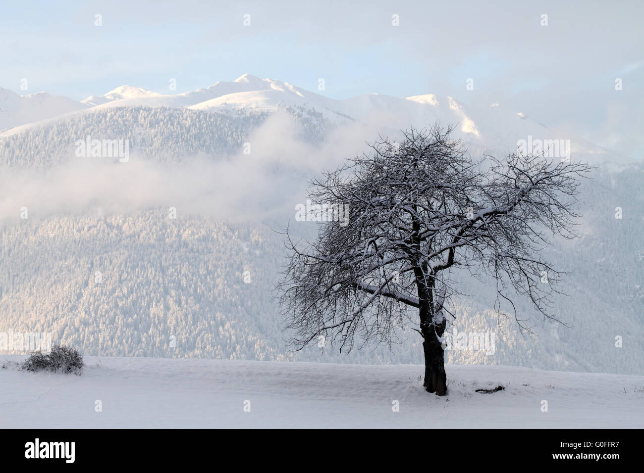 Émotions de l’hiver Banque D'Images