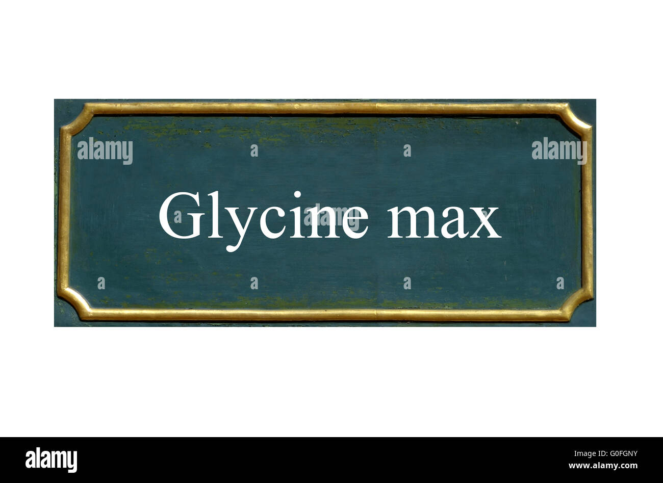 Shield glycine max Banque D'Images