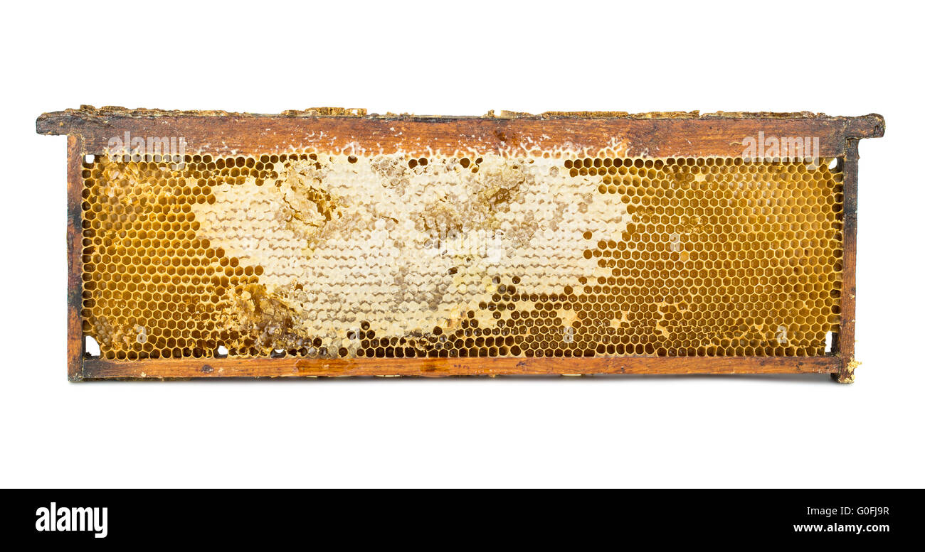 Cadre en bois d'abeille Banque D'Images