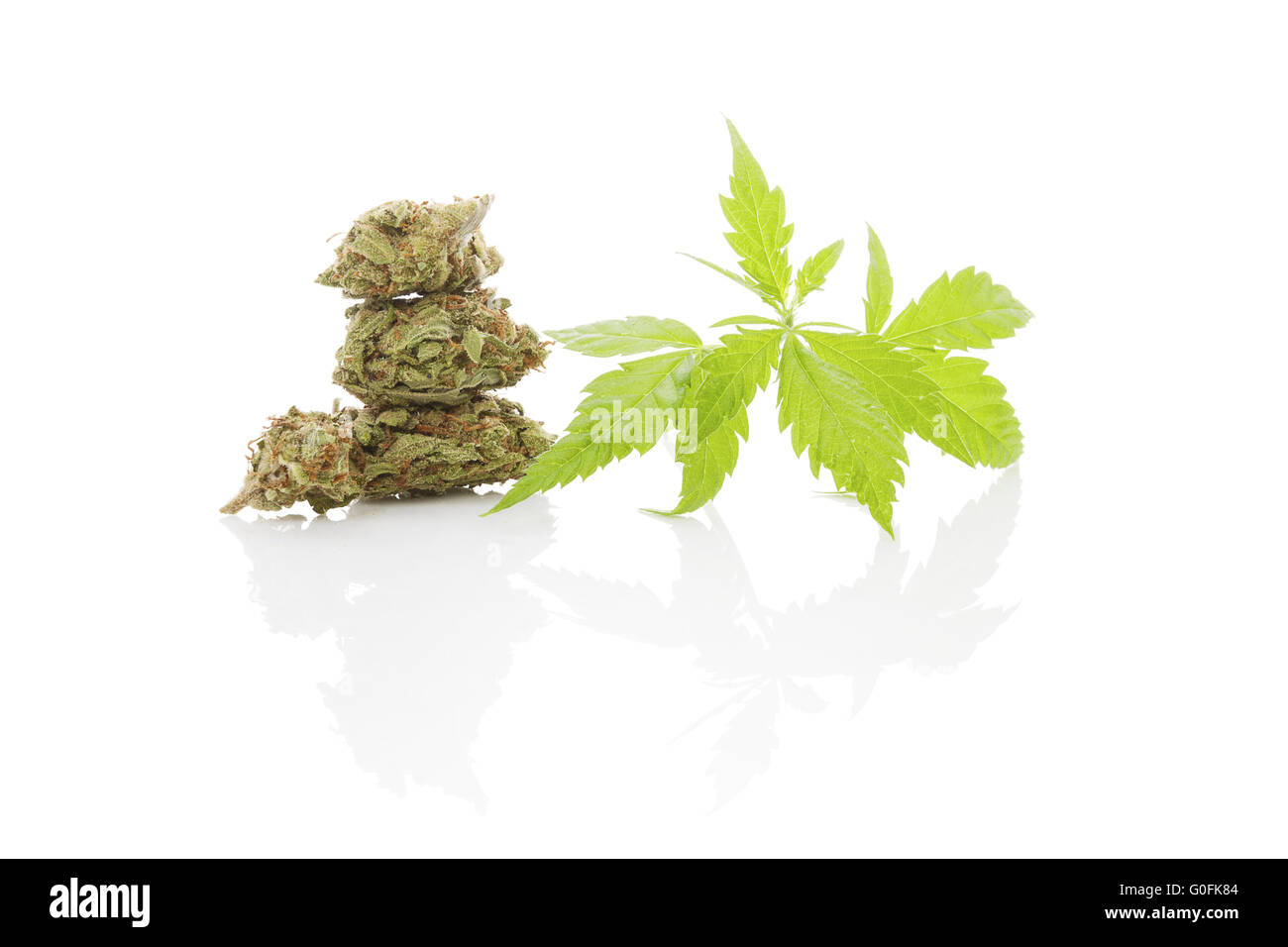 Feuillage Cannabis isolé sur fond blanc. La médecine alternative. Banque D'Images