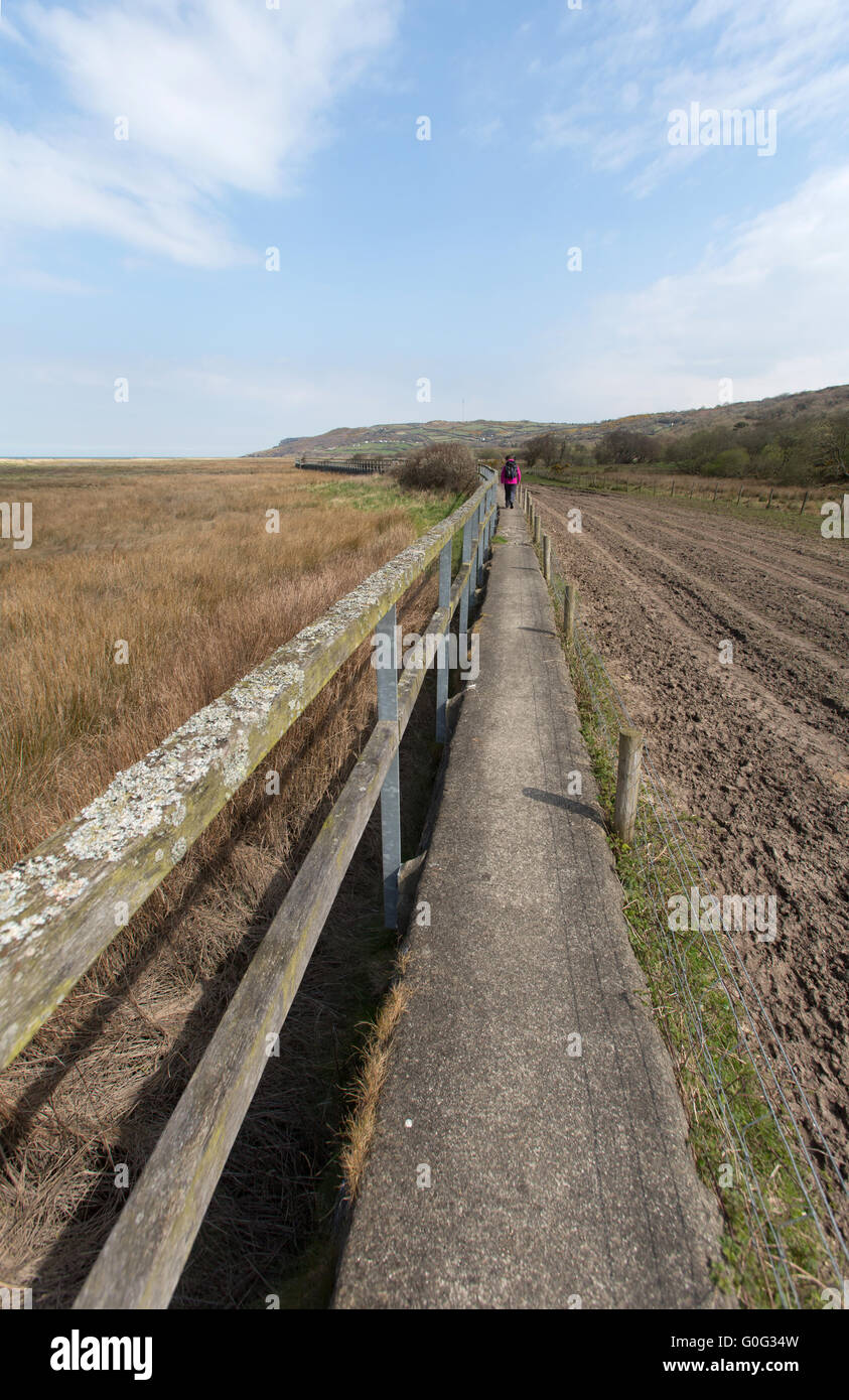 Une vue pittoresque de walker marche sur la mer de mur de l''Anglesey chemin côtier, à Red Bay Wharf. Banque D'Images