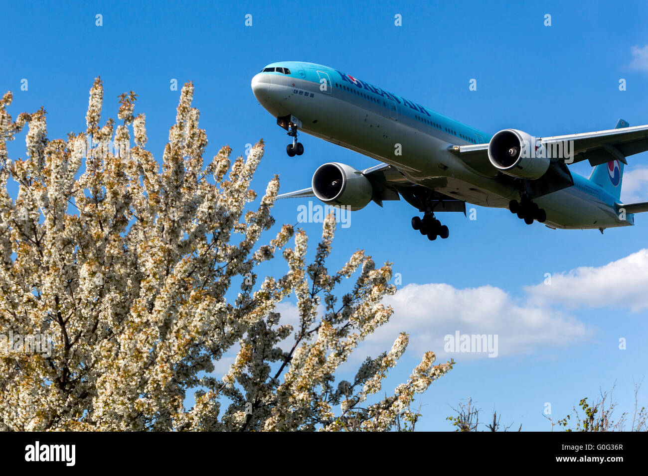 Avion Boeing 777 Korean Air approche pour l'atterrissage Prague, République Tchèque Banque D'Images