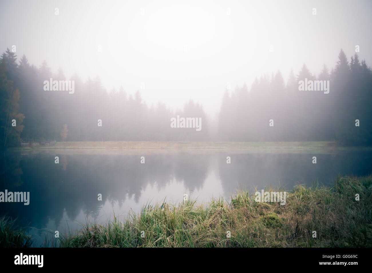 Lac de la forêt dans la brume matinale Banque D'Images